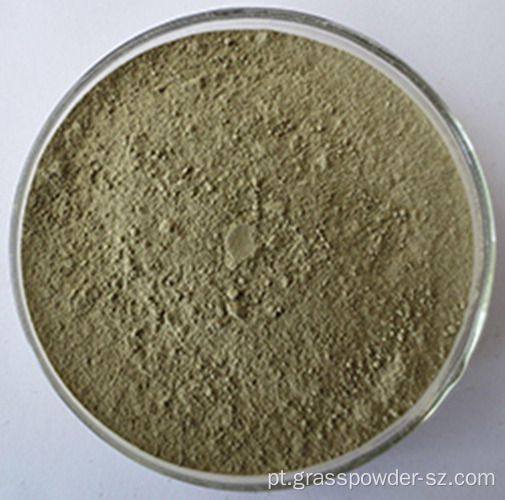 Suco de trigo sarraceno orgânico pó verde