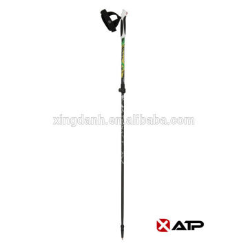 Light 2 section carbon Nordic Walking Stick