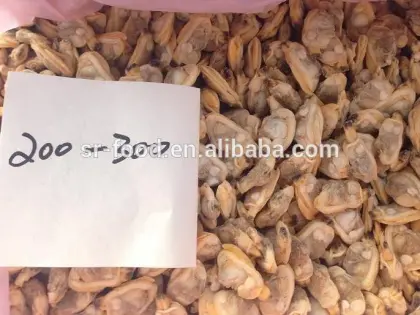frozen seafood boiled clam meat