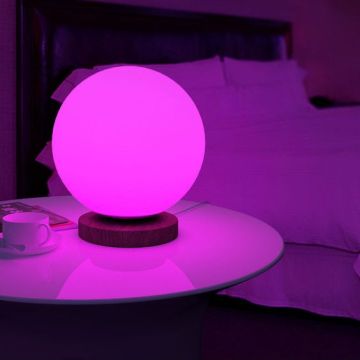 Modern Outdoor Waterproof Rechargeable Color Change LED Ball Light