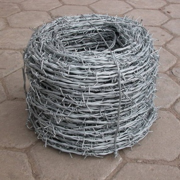 Prison Galvanized Wile Bilod Fencing