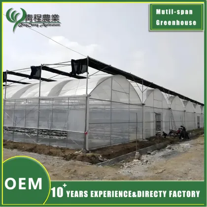 Multi span Greenhouse With Shade Systems