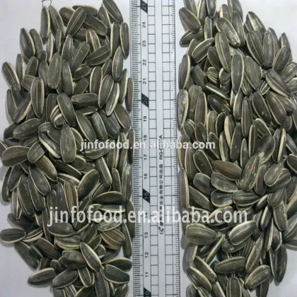 Raw sunflower seeds for human consumption