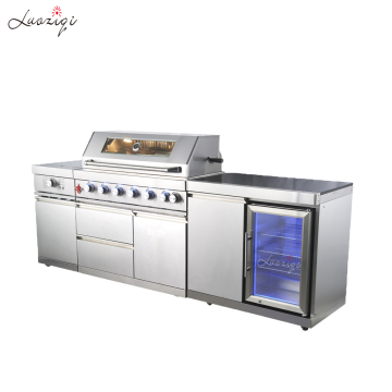 Modern Outdoor Kitchen BBQ Cabinet for Party