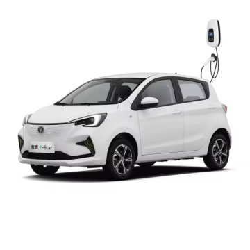 2024 Changan Benben E-Star Middle Version Electric Mini Car