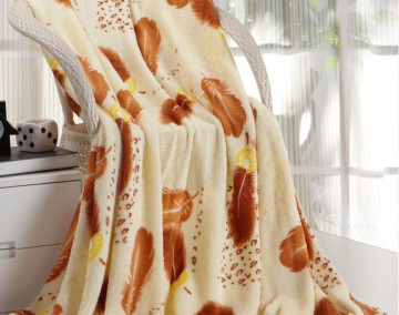 Hot Selling Coral Fleece Blanket