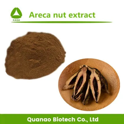 Areca Catechu Extract Arecoline Betel Nut Extract 10:1