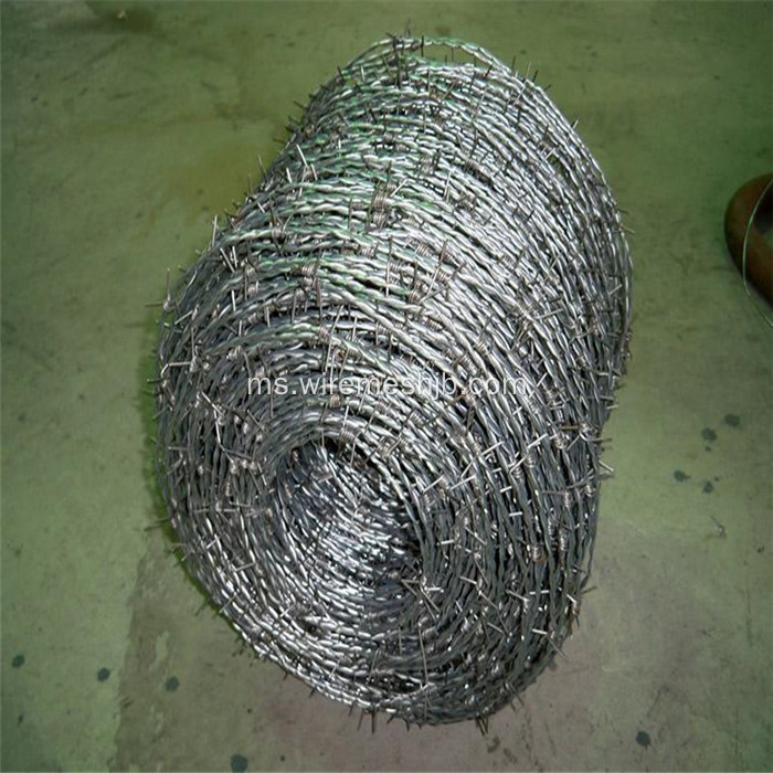 12 * 12 Double Twist Barbed Wire Untuk Pagar