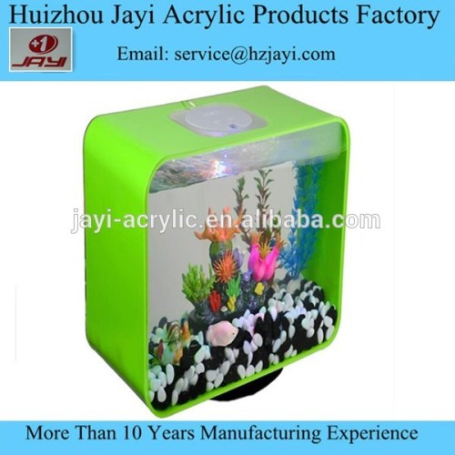 Factory wholesale acrylic rare and clean aquarium fish/live fish for aquarium