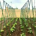 Pila de soporte de plantas de flores de planta de jardín