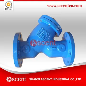 Y Strainer Pipe Fitting