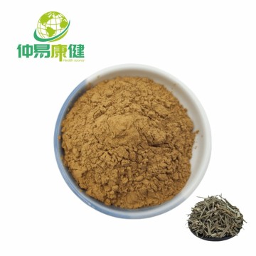 Horsetail Grass Extract Silica