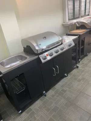 Powder Coated Gas Propane Butane BBQ Grill