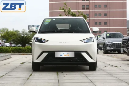 New Energy China Model Cars Byd Seagull EV Minicars Vehicles Car Byd Cars