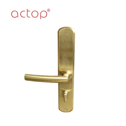 Security Anti-Theft Resistance Portable Hotel Door Lock