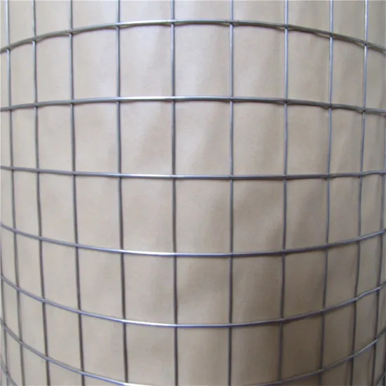 Welded Bird Aviary Wire Mesh Panels
