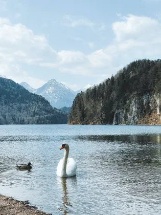 Digital Signage and Displays 20240113