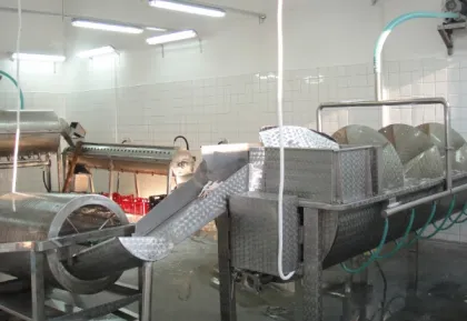 Feet processing equipment for slaughterhouse equipment