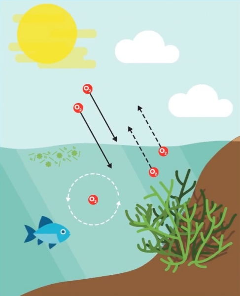 Dissolved oxygen in water