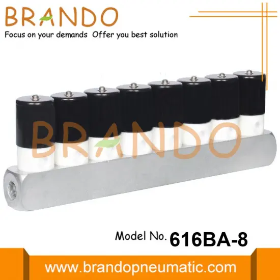 PTFE Diaphragm Isolation Solenoid Valve With Manifold