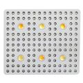 US Ready Stock 3000W COB LED Grow Light