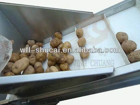 Potato Washer Machine/Roller Brush Washer and Peeler