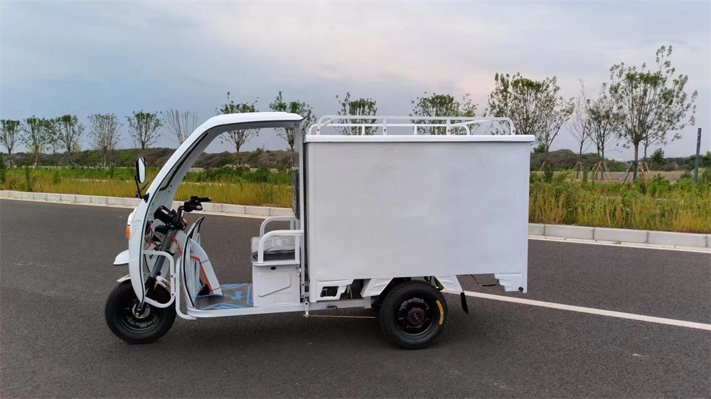 Electric tricycle for daily loads