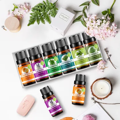 Natural Sweet Citrus and Herb Essential Oil Kit