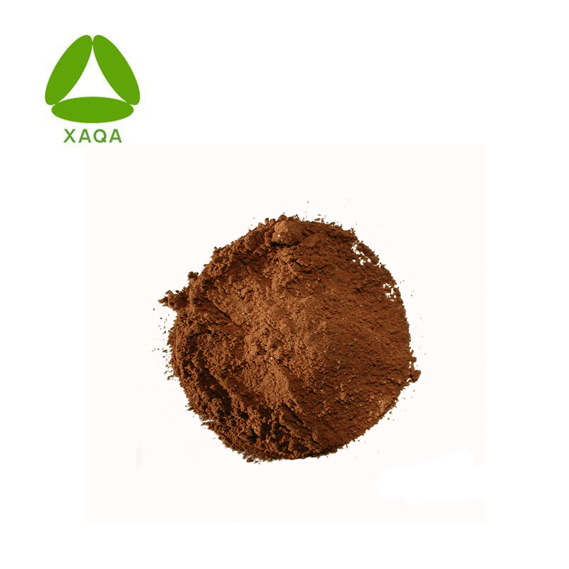 Healthcare Organic Ginkgo Biloba Leaf Extract Powder 10: 1