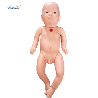 Tracheostomy Care Infant Model