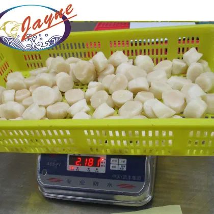 Nutrition Tasty Quick Frozen Sashimi Sea Shellfish Scallop Meat