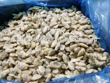 VENERUPIS VARIEGATA BABY CLAM FOR SANDS OUT AND COOKED AND FROZEN
