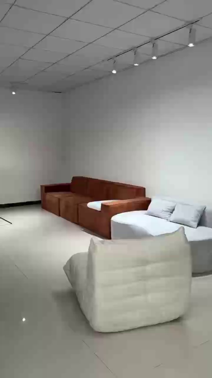 Stylish Modern Sofa with Minimalist Frame