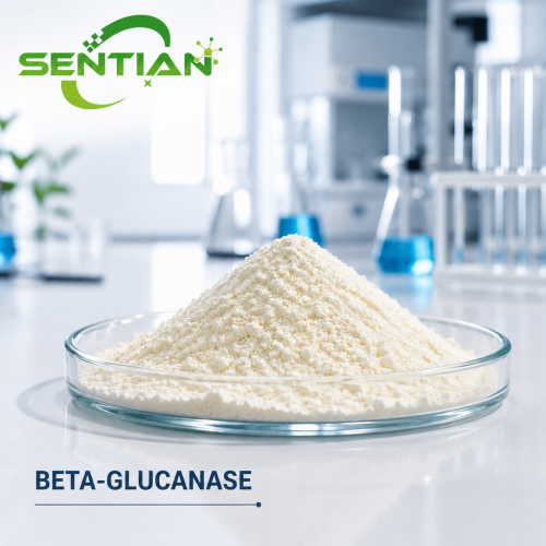 Beta-Glucanase Enzyme for Feed Nutrient Utilization