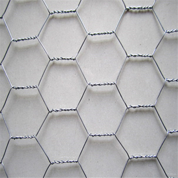 亜鉛メッキ六角形金網チキンケージ