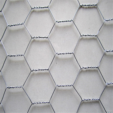 Gaiola de rede de arame hexagonal galvanizado para frango