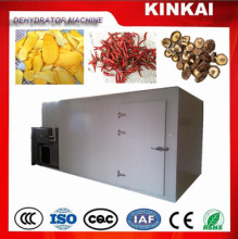 Industrial Fruit Drying Machine - Griffin Machinery