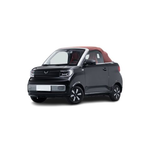 Mini EV populaire