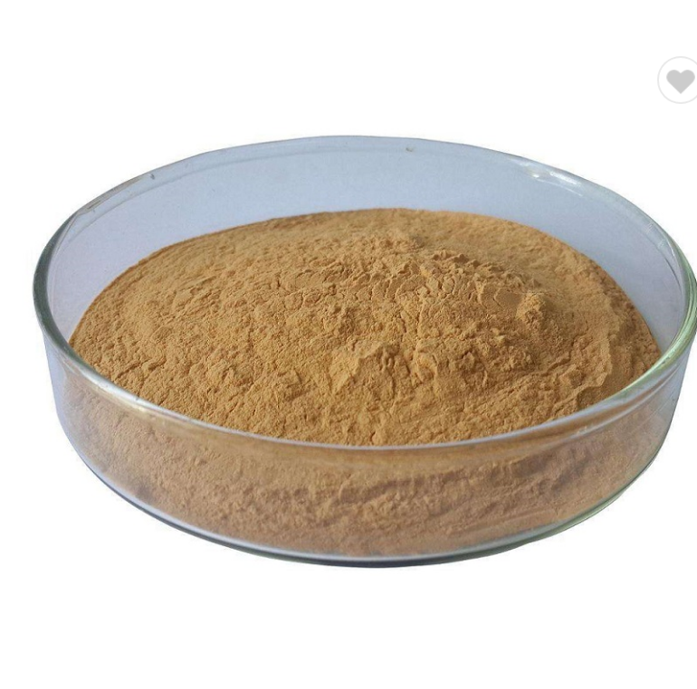  Lion's Mane Mushroom Powder