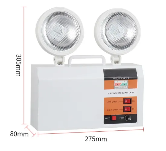 Emergency double head light