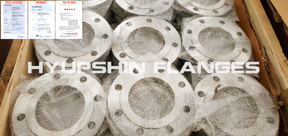 hyupshin_flanges_plate_flanges_raised_face_en1092-1_din_uni