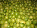 2019 Madu Pomelo