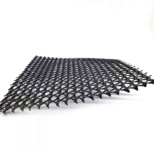 Plastic Drainge Net HDPE 3D Salt Barrier Drainage Geonet Geocomposite net Supplier