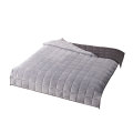 Hot Sale Easeful Polyester Weighted Blanket