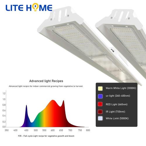 Pflanzenlicht IP66 wasserdicht