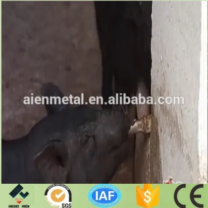 livestock equipment pig nipple drinker
