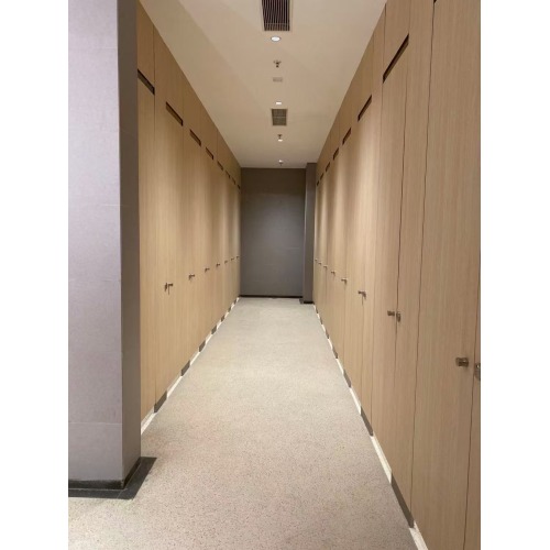 phenolic resin material toilet partition with accessories