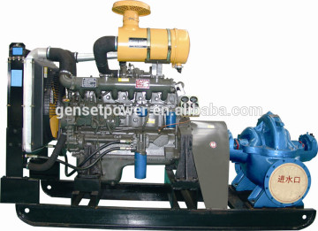 Sale High Pressure Diesel Water Jet Cleaning Pump