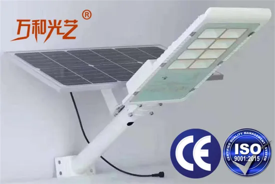 intergrated LED Solar Street Light Government Project