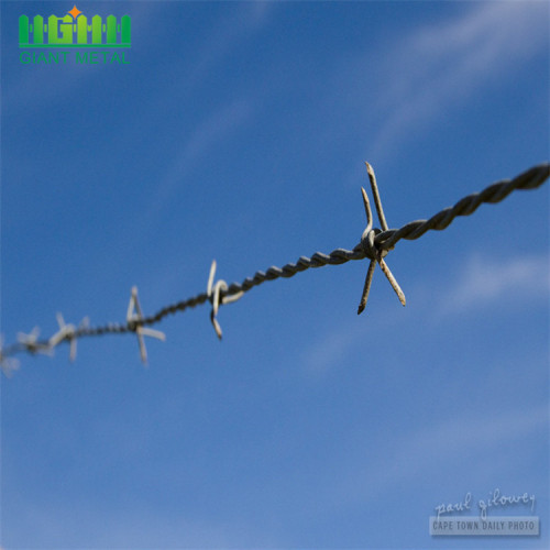 Steel Wire Galvanized Cheaps Wire Barbed